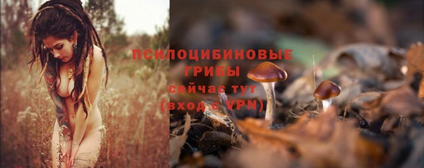 спайс Горнозаводск