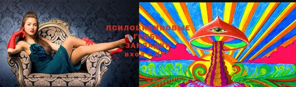 альфа пвп Горняк